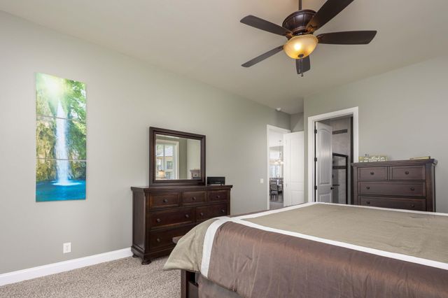 199 Piney Bay Lane, Spring City, TN 37381