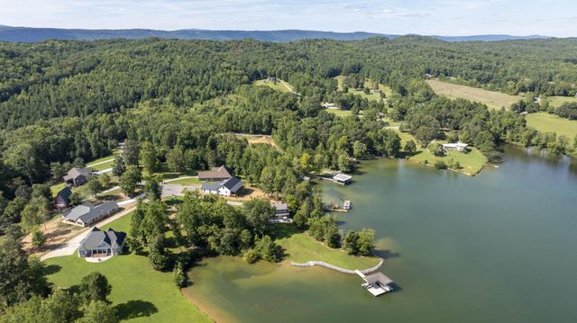 199 Piney Bay Lane, Spring City, TN 37381