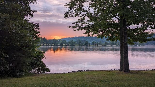 199 Piney Bay Lane, Spring City, TN 37381