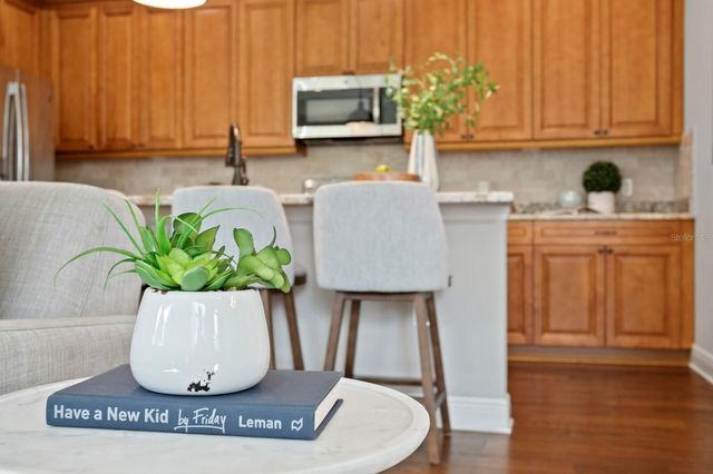 13016 SANCTUARY VILLAGE LANE, Tampa, FL 33624