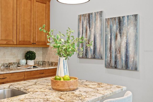 13016 SANCTUARY VILLAGE LANE, Tampa, FL 33624