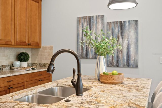 13016 SANCTUARY VILLAGE LANE, Tampa, FL 33624