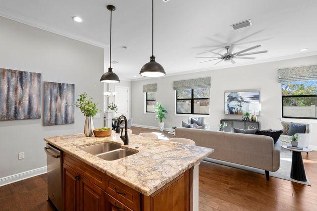 13016 SANCTUARY VILLAGE LANE, Tampa, FL 33624