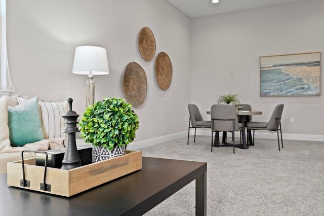 13016 SANCTUARY VILLAGE LANE, Tampa, FL 33624