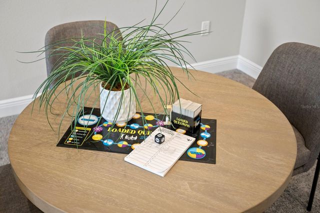 13016 SANCTUARY VILLAGE LANE, Tampa, FL 33624