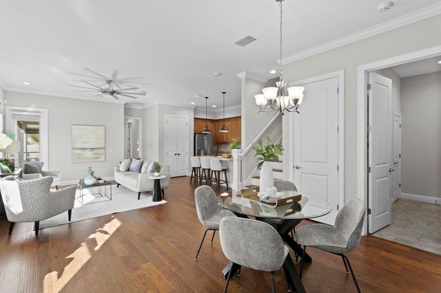 13016 SANCTUARY VILLAGE LANE, Tampa, FL 33624