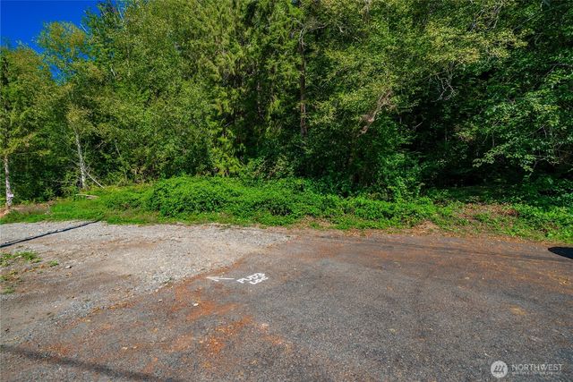 151 NE Myrlis Joy Drive, Tahuya, WA 98588