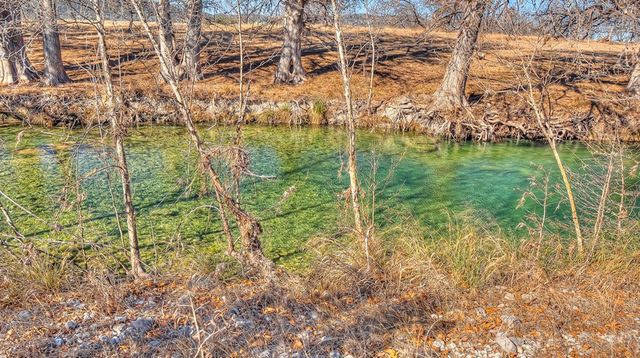 196 Canal Circle, Rio Frio, TX 78879