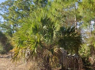 2706 52ND STREET W, Lehigh Acres, FL 33971