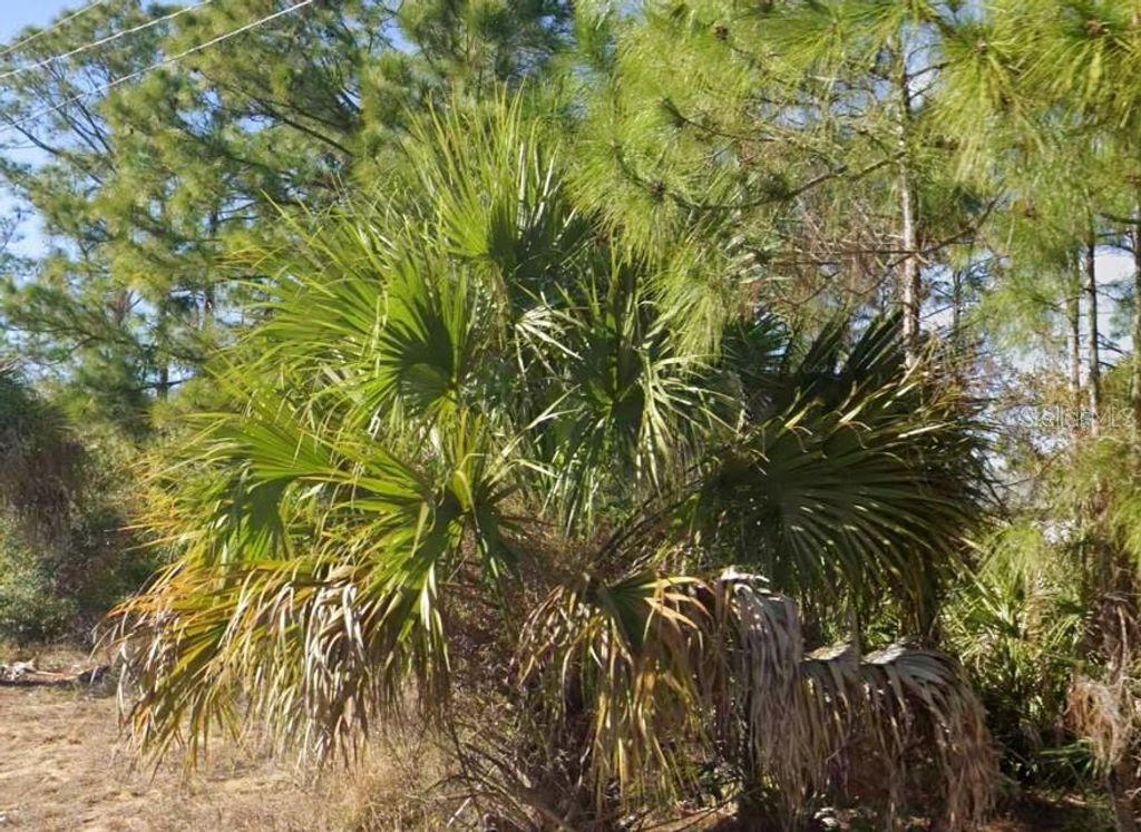 2706 52ND STREET W, Lehigh Acres, FL 33971