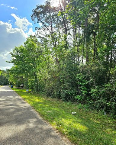 TBD Bernard Court, Porter Heights, TX 77365