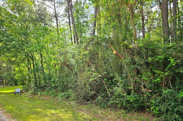 TBD Bernard Court, Porter Heights, TX 77365