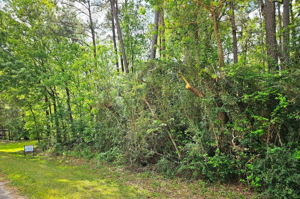 TBD Bernard Court, Porter Heights, TX 77365