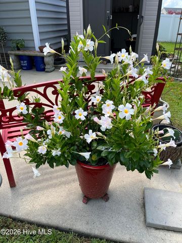 4511 Bar Harbor Drive NW, Wilson, NC 27896