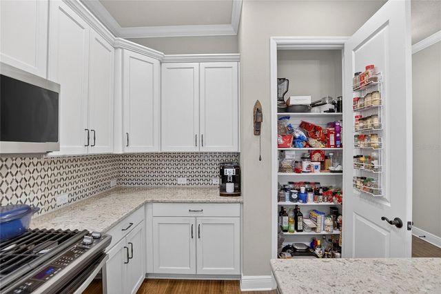 6020 PLOVER MEADOW STREET, Lithia, FL 33547