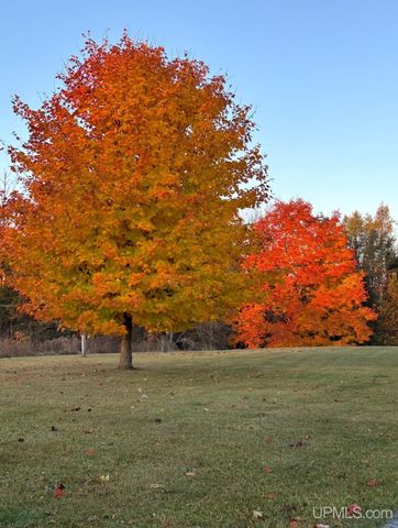 N4579 M67 Highway, Chatham, MI 49816