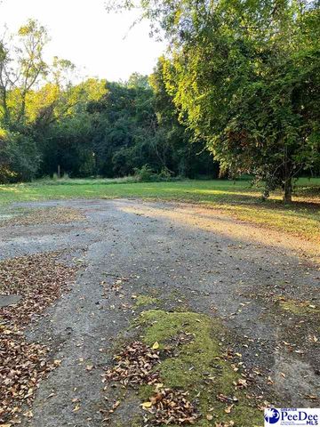 301 N WITHLACOOCHEE AVE, Marion, SC 29571