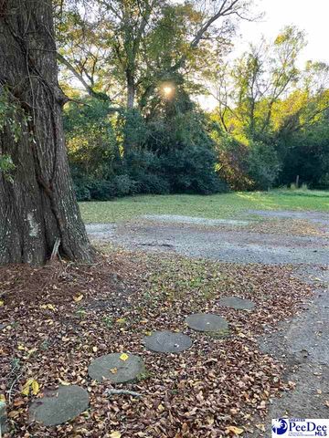 301 N WITHLACOOCHEE AVE, Marion, SC 29571
