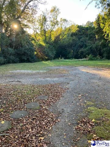 301 N WITHLACOOCHEE AVE, Marion, SC 29571
