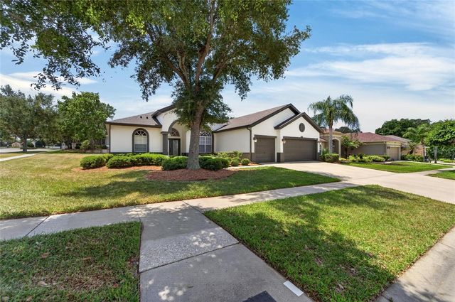 2309 SILVER TRUMPET COURT, Valrico, FL 33594