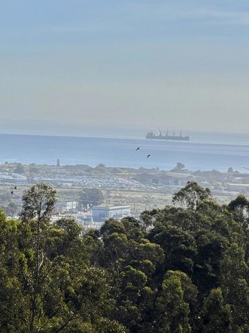 828 Steve Courter Way, Daly City, CA 94014