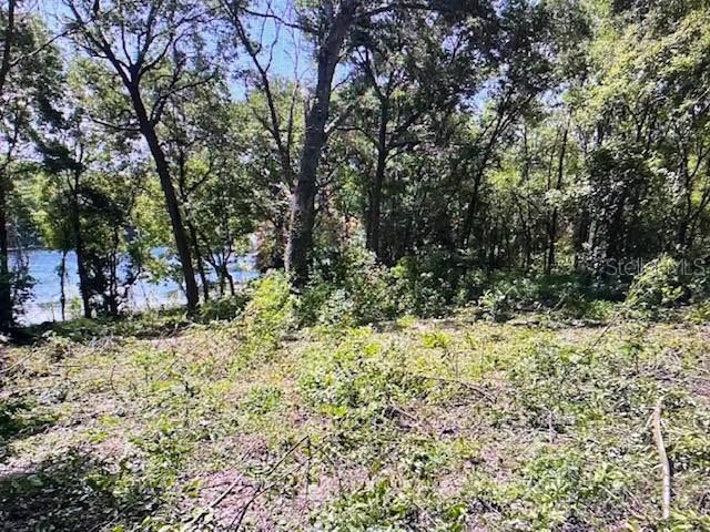 2&3 SPRING LAKE ROAD, Fruitland Park, FL 34731