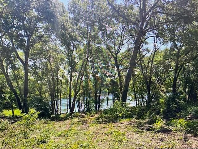 2&3 SPRING LAKE ROAD, Fruitland Park, FL 34731