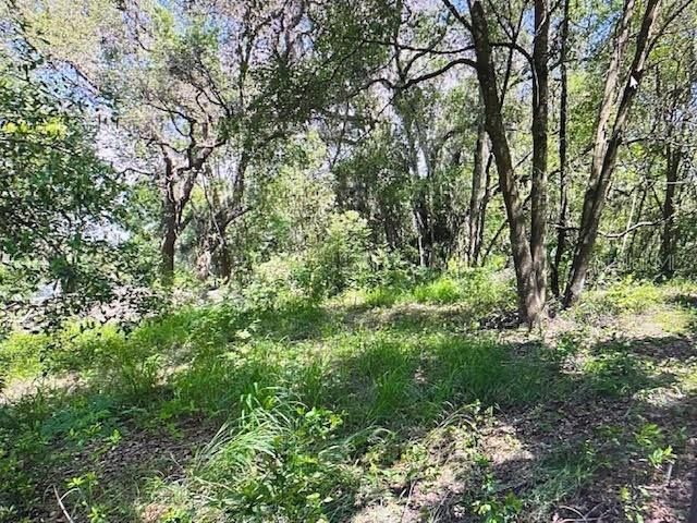 2&3 SPRING LAKE ROAD, Fruitland Park, FL 34731