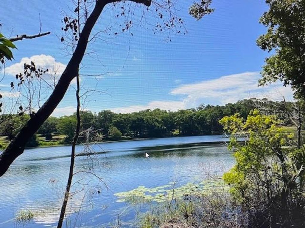 2&3 SPRING LAKE ROAD, Fruitland Park, FL 34731