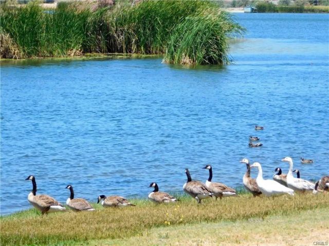 358 Sky Harbor and Lakefront, Aguanga, CA 92536