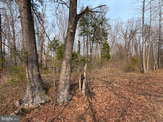 MARSH LN, Fredericksburg, VA 22406