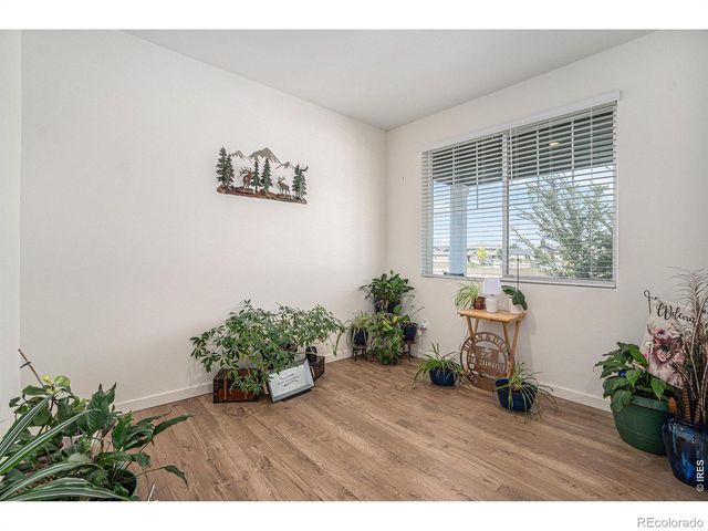 605 Sawyers Pond Drive, Severance, CO 80550