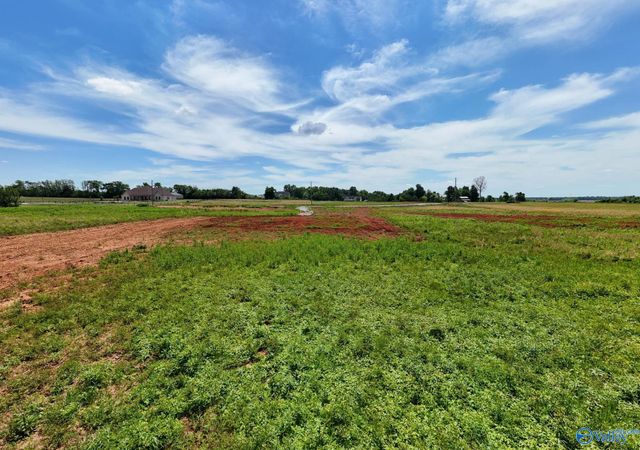 23671 Old Homeplace Way, Athens, AL 35613