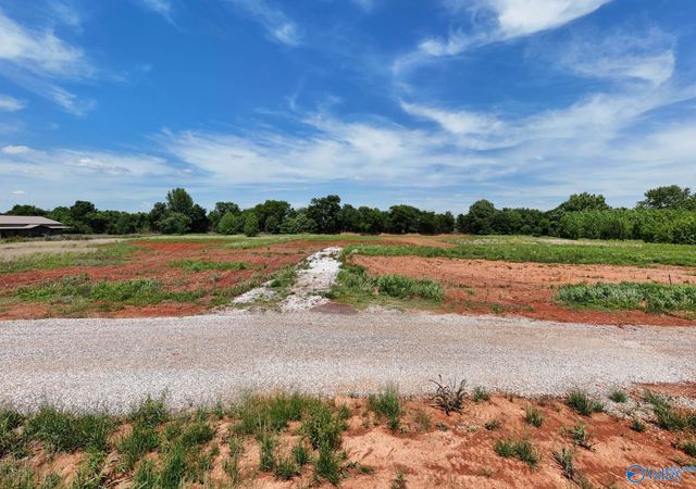 23671 Old Homeplace Way, Athens, AL 35613