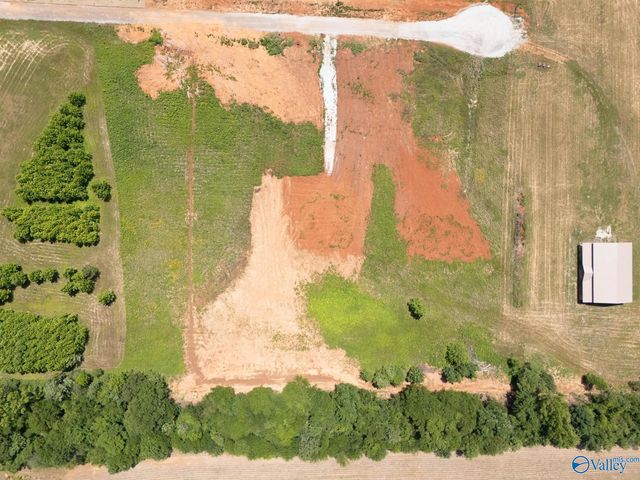 23671 Old Homeplace Way, Athens, AL 35613