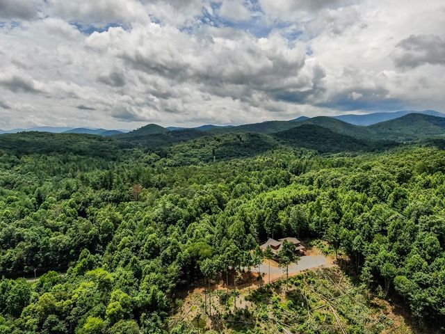 136 Pack Creek, Blue Ridge, GA 30513
