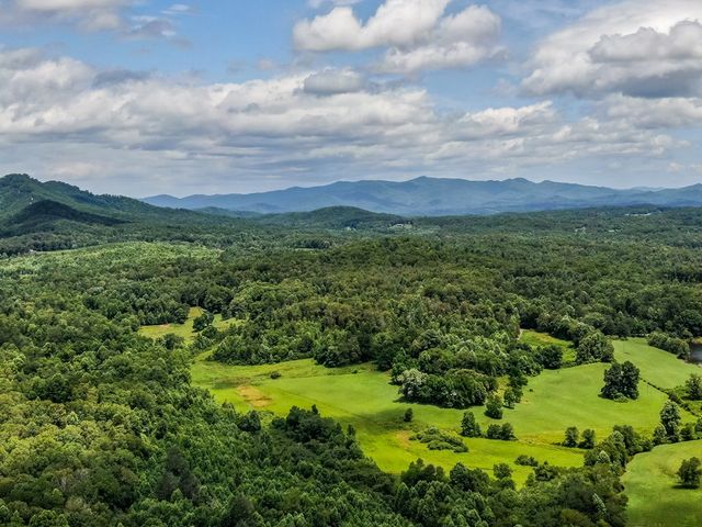 136 Pack Creek, Blue Ridge, GA 30513