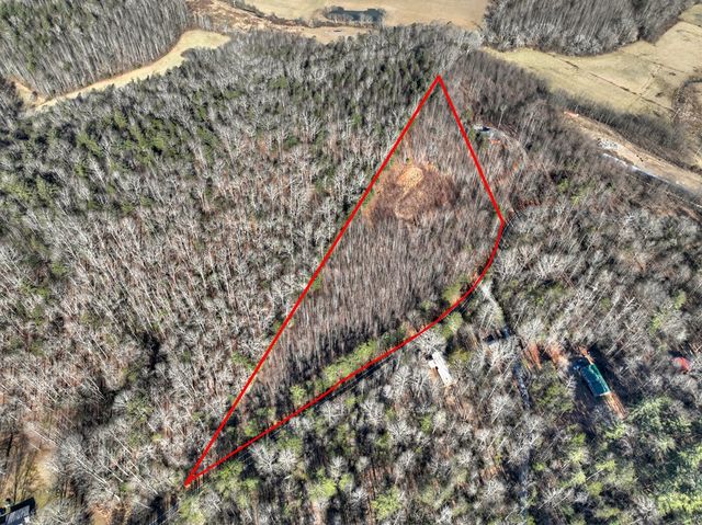 136 Pack Creek, Blue Ridge, GA 30513