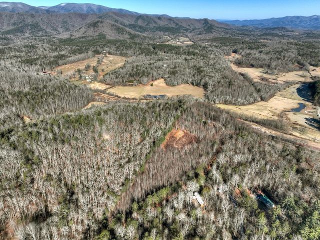 136 Pack Creek, Blue Ridge, GA 30513