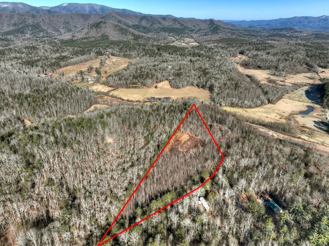 136 Pack Creek, Blue Ridge, GA 30513