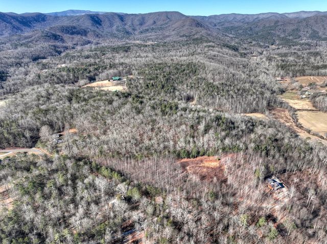 136 Pack Creek, Blue Ridge, GA 30513
