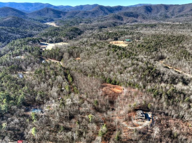 136 Pack Creek, Blue Ridge, GA 30513