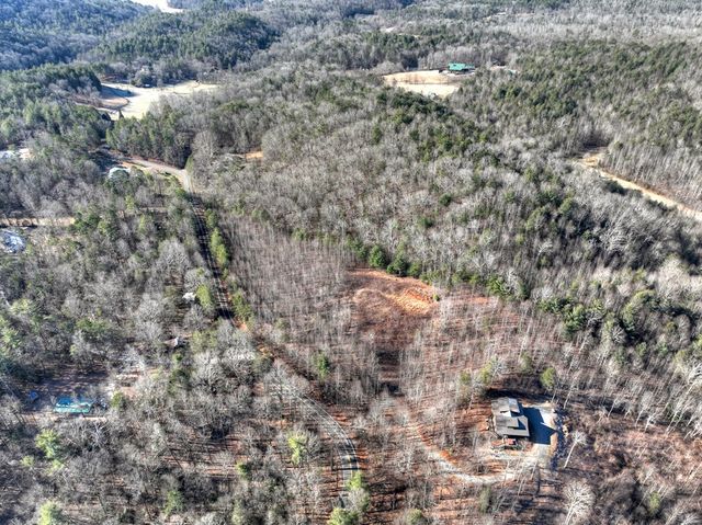 136 Pack Creek, Blue Ridge, GA 30513