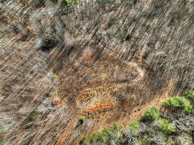 136 Pack Creek, Blue Ridge, GA 30513