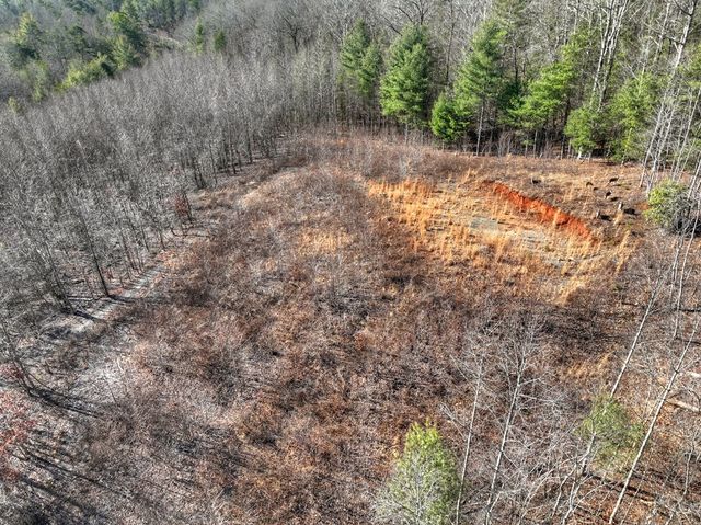 136 Pack Creek, Blue Ridge, GA 30513