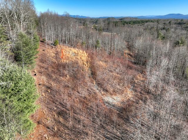 136 Pack Creek, Blue Ridge, GA 30513