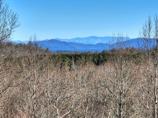 136 Pack Creek, Blue Ridge, GA 30513