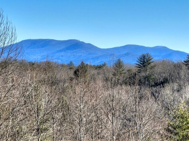 136 Pack Creek, Blue Ridge, GA 30513