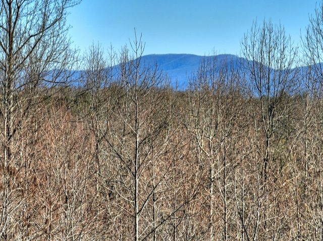 136 Pack Creek, Blue Ridge, GA 30513