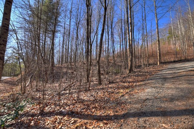 136 Pack Creek, Blue Ridge, GA 30513